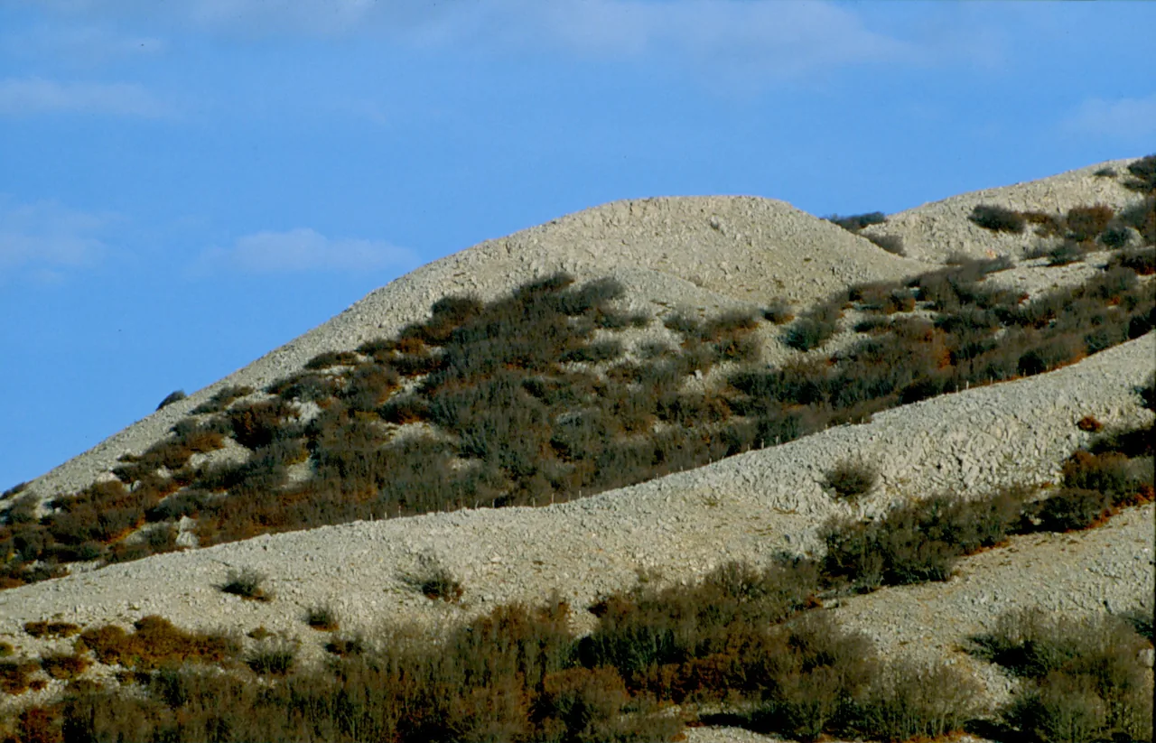 Un crinale delle Madonie con la faggeta residua: il paesaggio cambia completamente fra una stagione e l'altra